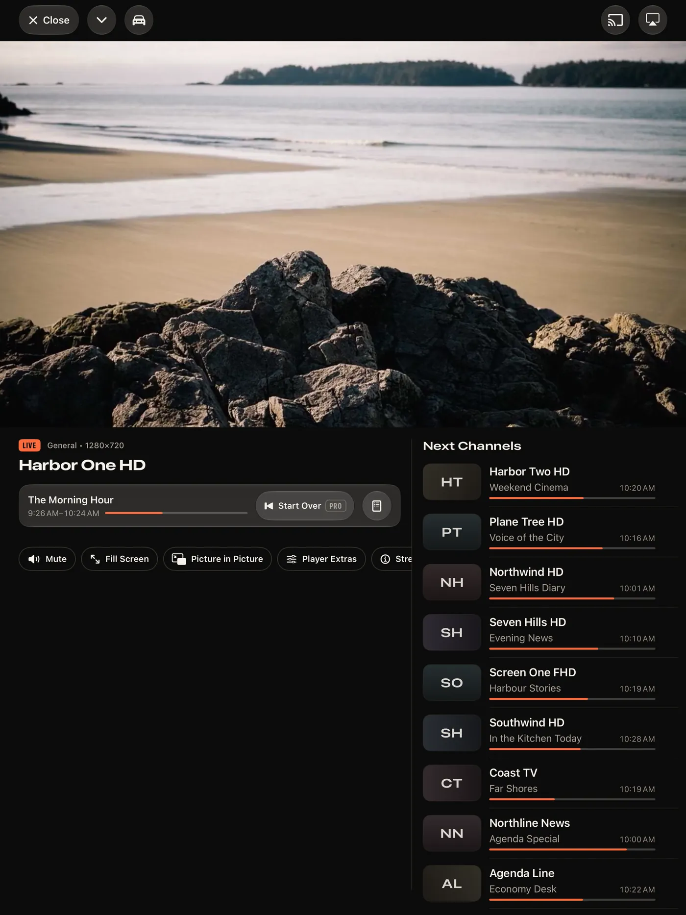 The player on iPad: the channel list beside the picture
